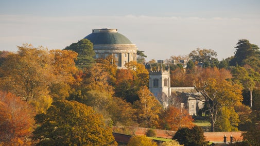 Trees in full autumn colour at Ickworth Estate surrounding the Rotunda and Church